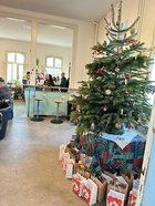 Weihnachtsbaum in der Drobs